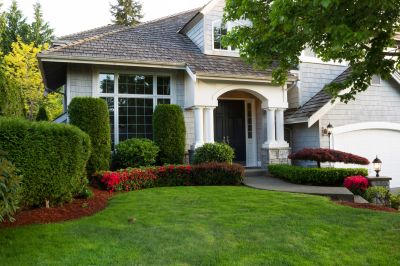 Garden Path with Trimmed Shrubs