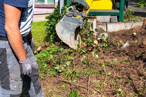 Hedge Removal Service in Camas