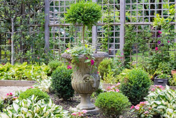 Cost of Topiary Pruning in Camas